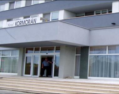 kép